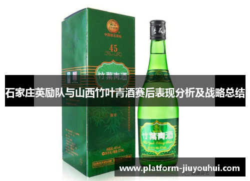 石家庄英励队与山西竹叶青酒赛后表现分析及战略总结