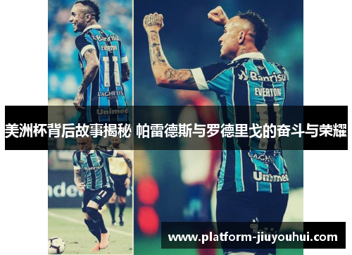 美洲杯背后故事揭秘 帕雷德斯与罗德里戈的奋斗与荣耀